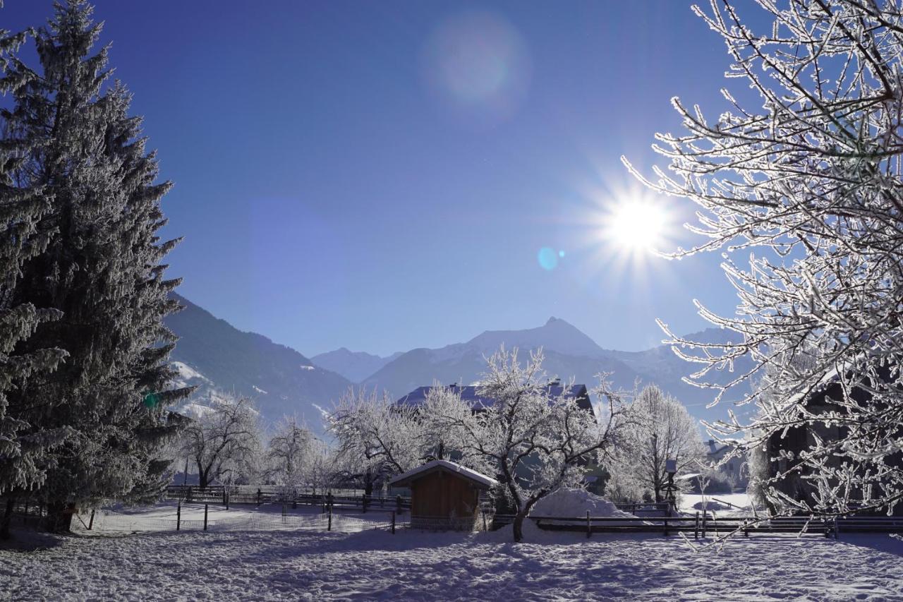 Haus Schwaiger Appartement Bad Hofgastein Buitenkant foto