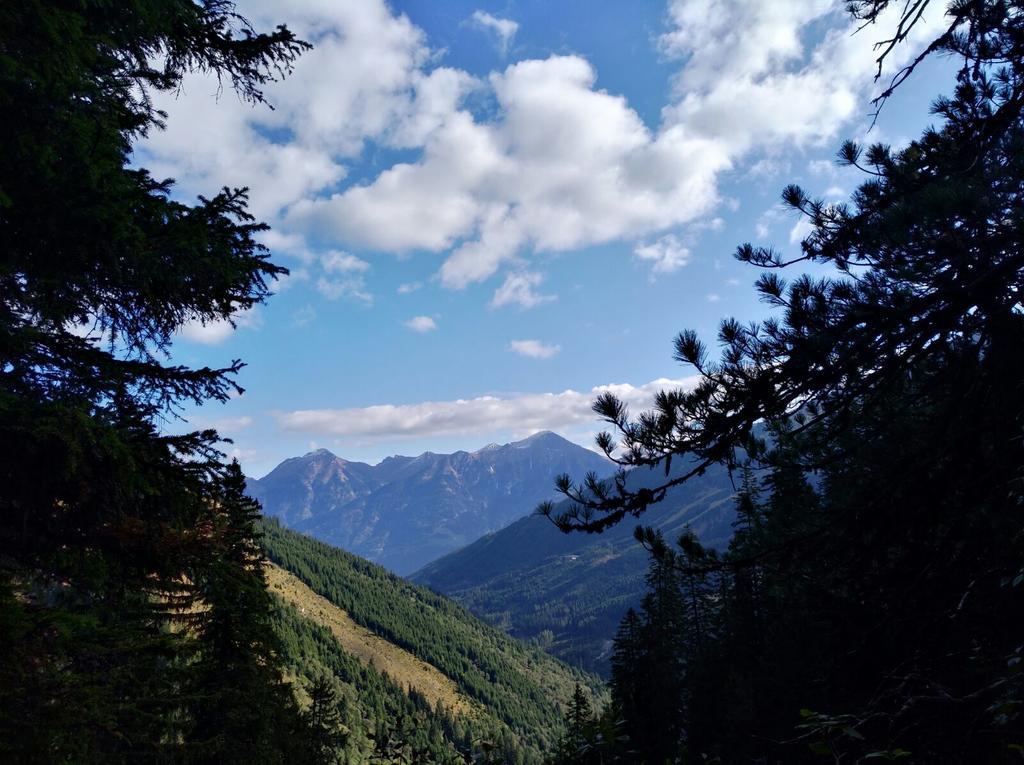 Haus Schwaiger Appartement Bad Hofgastein Buitenkant foto