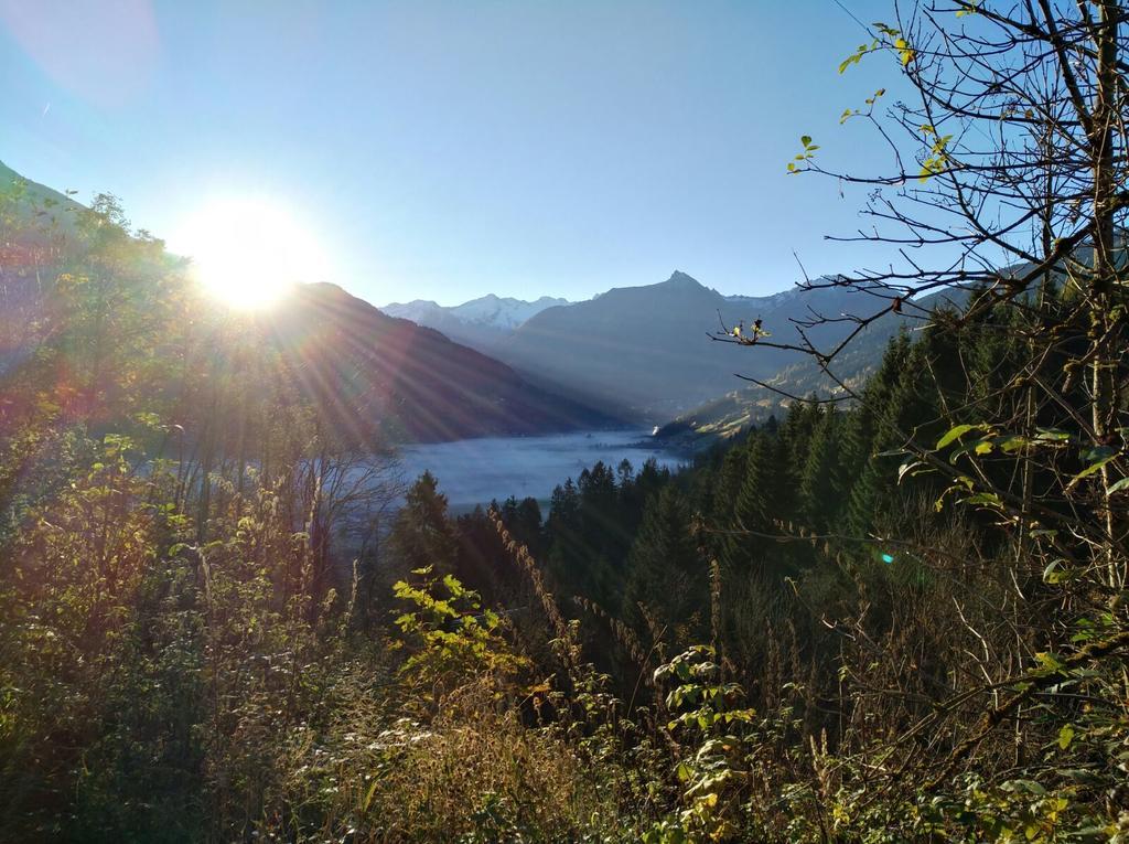 Haus Schwaiger Appartement Bad Hofgastein Buitenkant foto